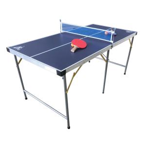 Купить Теннисный стол детский DFC DS-T-009 в Болотном 