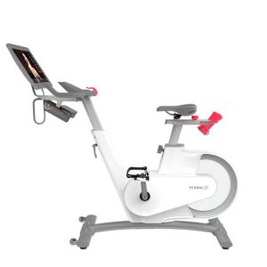 Купить Велотренажер Yesoul BV1-W PLUS в Болотном 